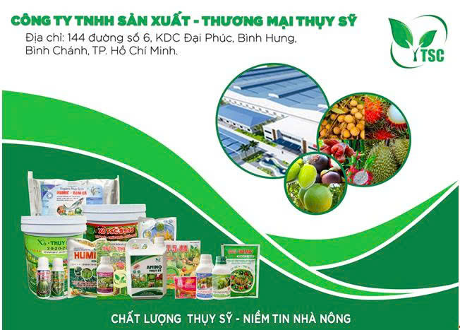 lĩnh vực hoạt động
